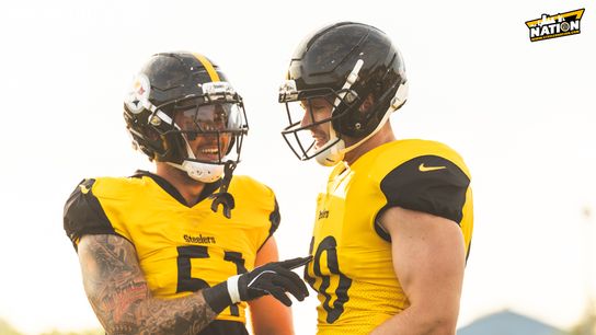 Steelers TJ Watt Nick Herbig