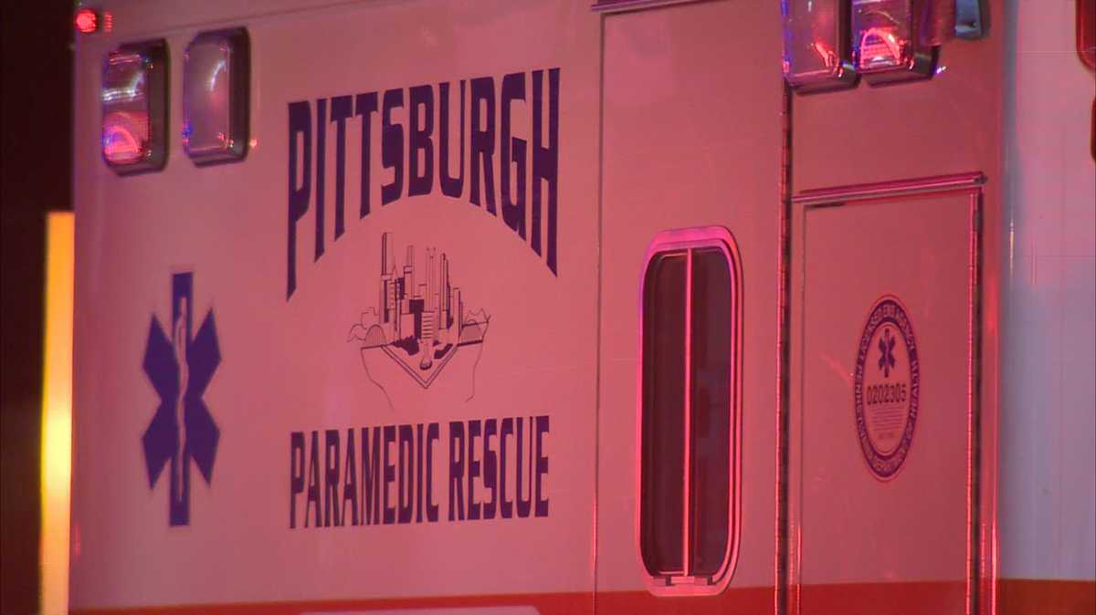 Mom delivers baby on Pittsburgh interstate during Winter snowstorm
