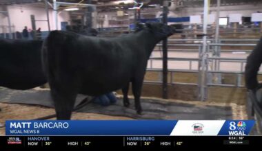 The Farm Show celebrates Pennsylvania’s rich farming heritage