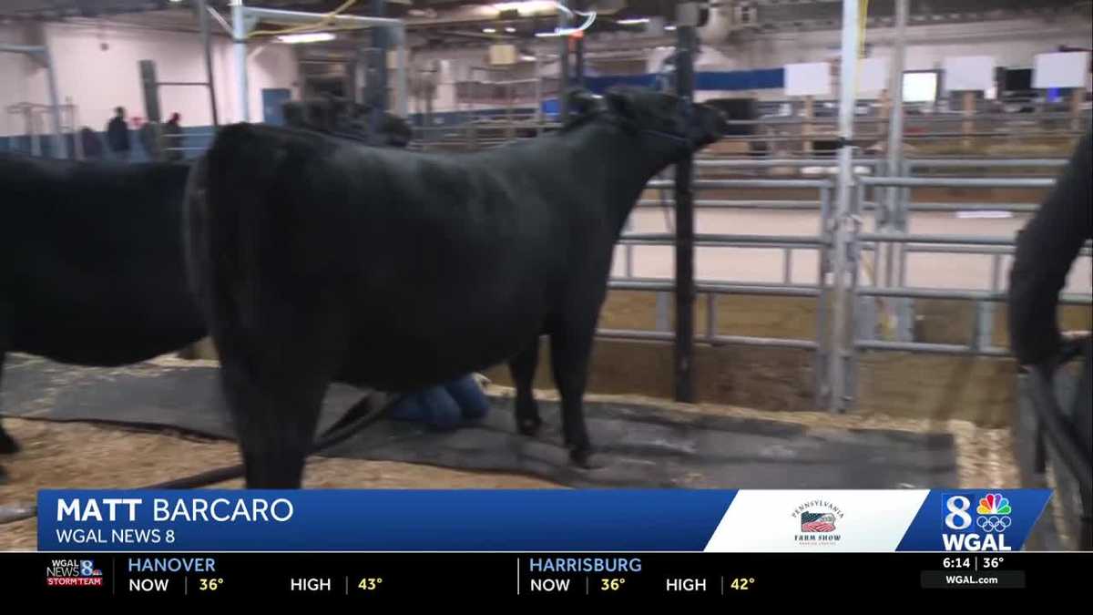The Farm Show celebrates Pennsylvania’s rich farming heritage