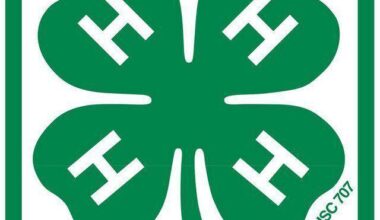 2 Berks 4-H teens attend National 4-H Congress