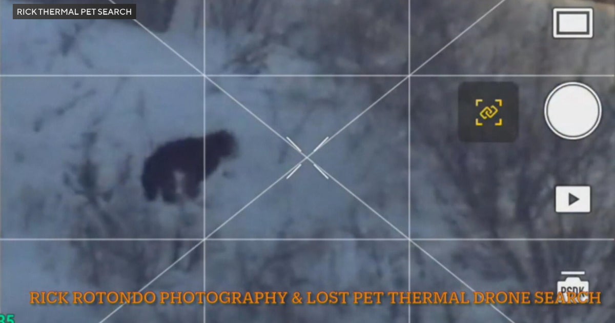 Thermal drone pilot helps find missing Fishtown dog, Benji, who ran away right before Sunday's snowstorm