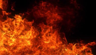 Crews rescue pets from Berks County house fire | Berks Regional News