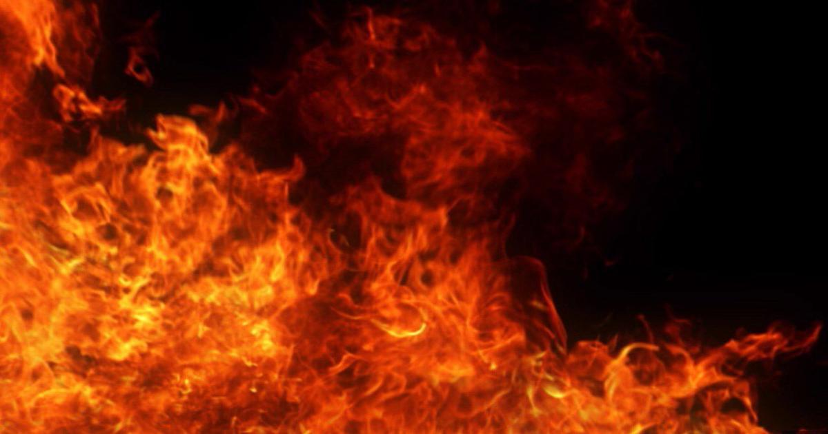 Crews rescue pets from Berks County house fire | Berks Regional News