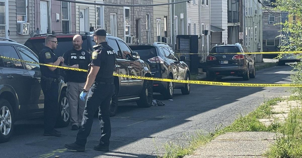 Overnight shooting leaves one dead in Reading | Berks Regional News