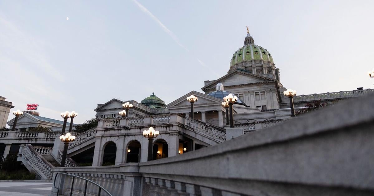 Emmaus High School grad to announce candidacy in Pa. 187th District House race | Western Lehigh County