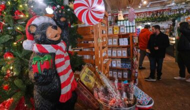 More thrifting and fewer returns, the early trends that defined shopping this holiday | Ap-business