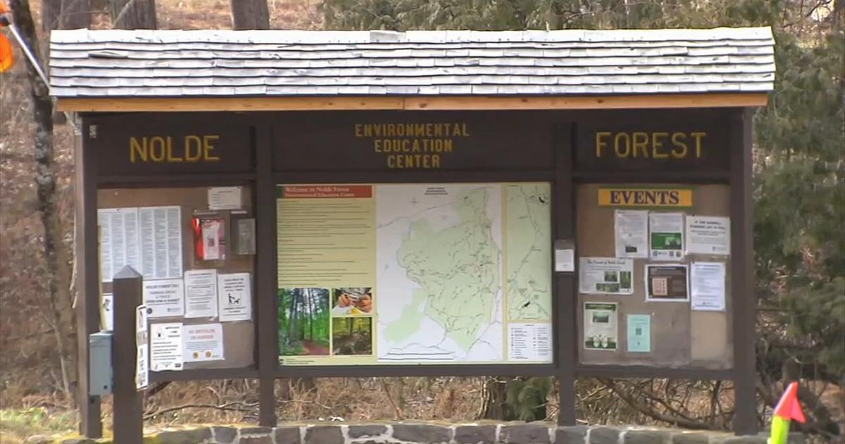 Pagoda Pacers to begin 2026 with New Year's Day hike | Reading Area