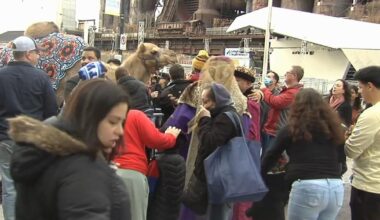 'Be part of the magic': ArtsQuest celebrates Three Kings Day this weekend | Homepage Top Stories