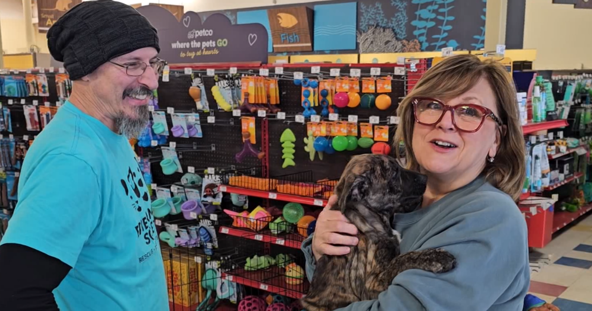 Erie Humane Society Hosts Adoption Event | Local News