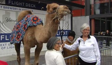 Celebration of Three Kings Day in Bethlehem draws over 700 attendees | Bethelehm Area