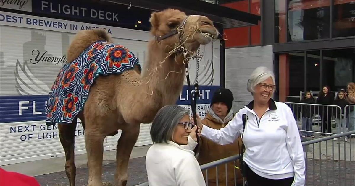 Celebration of Three Kings Day in Bethlehem draws over 700 attendees | Bethelehm Area