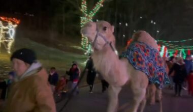 Lights in the Parkway hosts Three Kings Day celebration | Allentown Area