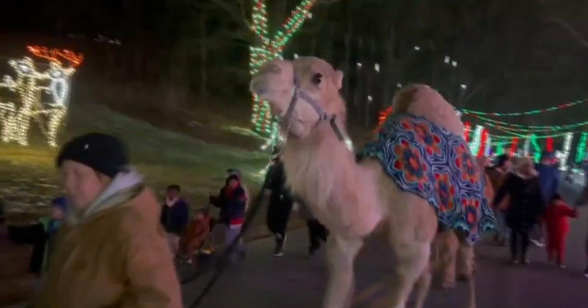 Lights in the Parkway hosts Three Kings Day celebration | Allentown Area