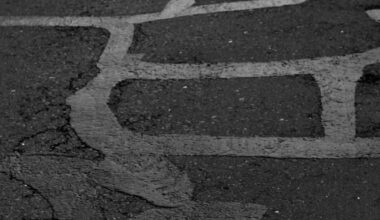 Erie Government Introduces New Pothole Reporting Line | News