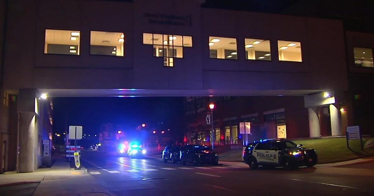 Police shoot, injure woman who moved at officer with knife, DA says | Allentown Area