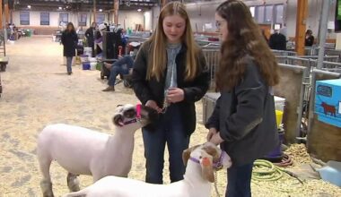 Local 4H students showing off their animals at PA Farm Show | Pennsylvania News
