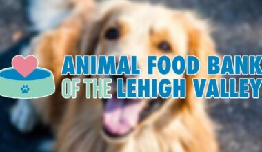 Animal food bank announces move to Allentown in 2026 to serve more pets | State