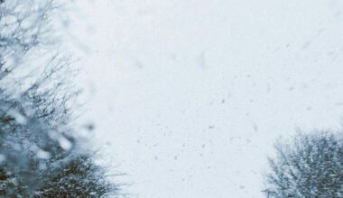 Closures and Speed Restrictions Continue Along Interstates | News