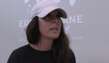 Former Erie Humane Society Director Pleads Guilty, Sentenced in Embezzlement Case | State