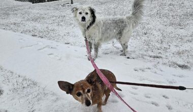 YOUR PHOTOS: Snow around the region | Berks Regional News