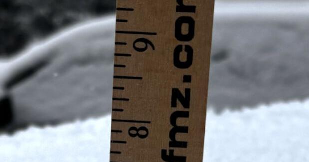 YOUR PHOTOS: Seeing the region through a snowy lens | Berks Regional News