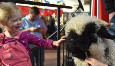 2026 PA Farm Show Concludes After Eight Days of Highlighting Pennsylvanians in Agriculture | Valley Times Star