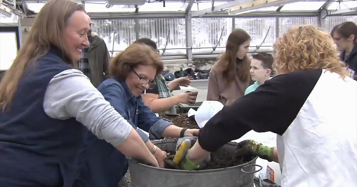 'What are you doing for others?': MLK Day in Berks County marked by service | Reading Area