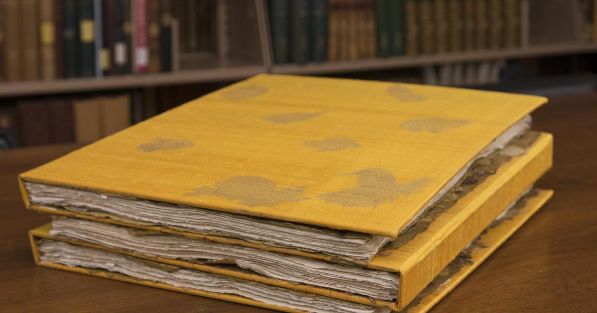 Buffalo & Erie County Public Library Presents AP Gorny: Different From the Rest | National Business