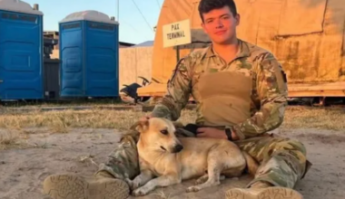 Go Fund Me Page for Young Victim of I-79 Accident | News