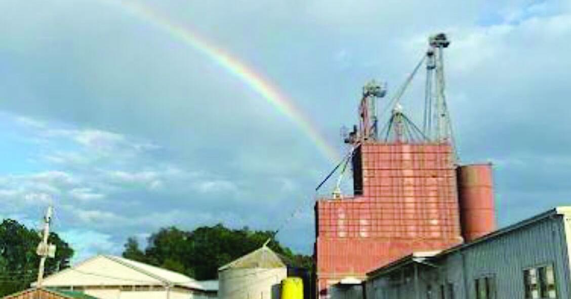 85 years strong: Erie Crawford Cooperative celebrates legacy of service | News