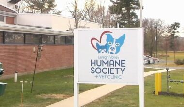 Lehigh Valley Humane Society and CART team up to shelter pets in cold weather | Allentown Area