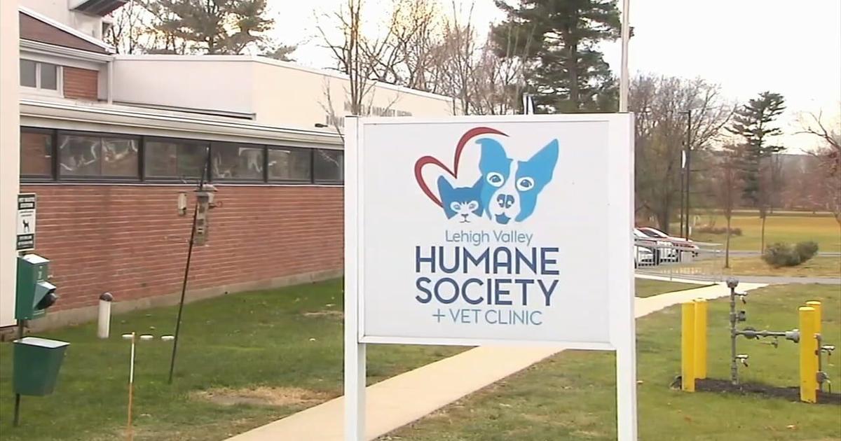 Lehigh Valley Humane Society and CART team up to shelter pets in cold weather | Allentown Area