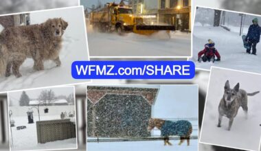 VIEWER SNOW PHOTOS: Storm drops blanket of snow on region | Berks Regional News