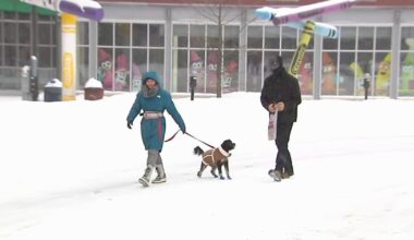 'I'm loving it': Easton residents embrace the snow | Easton Area