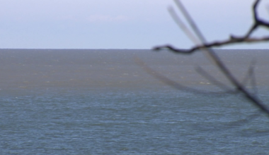 Erie County Awarded Funds for Environmental Efforts | News