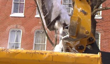 Around-the-clock snow removal operation in downtown Reading continues | Berks Regional News