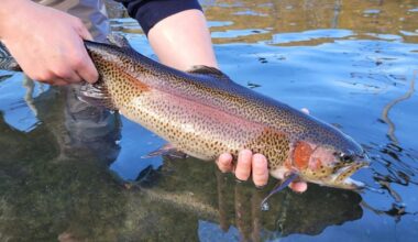 Pennsylvania releases 2026 trout stocking schedule | Pennsylvania News