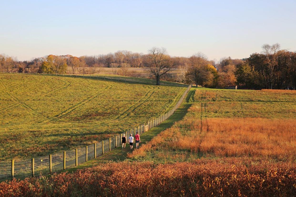People walking through a nature preserve in Chester County. Bo/Adobe Stock