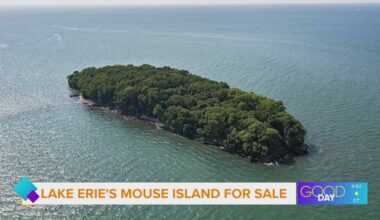 Lake Erie island on the market for $5M