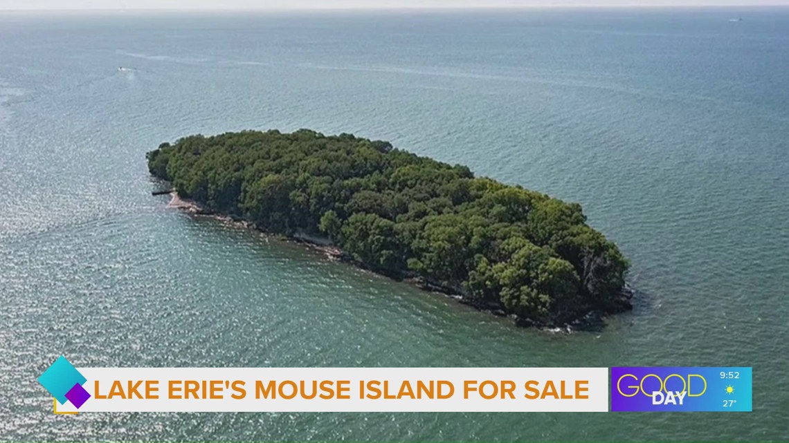 Lake Erie island on the market for $5M