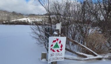 Recycling your Christmas tree comes with many benefits. Here's how you can do it.