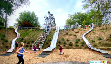 Free Things to Do with Kids in Erie, PA (A Year-Round Family Guide)