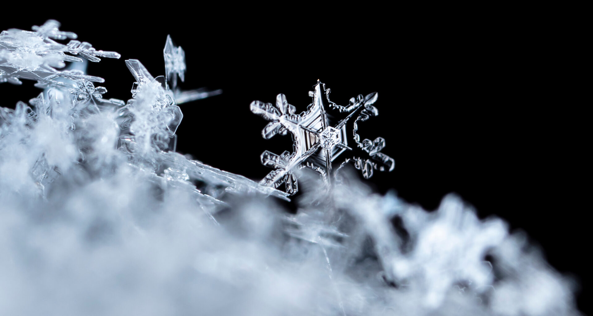 Catholic Schools in the City of Phila. to Shift to Flexible Instruction Day Jan. 26