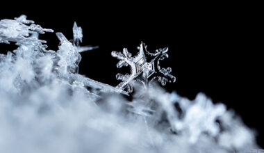 Catholic Schools in the City of Phila. to Shift to Flexible Instruction Day Jan. 26