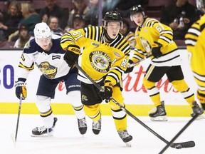 Sarnia Sting's Beckham Edwards (81) passes the puck away from Erie Otters' Jake Murray (80) at Progressive Auto Sales Arena in Sarnia, Ont., on Friday, Jan. 9, 2026. Mark Malone/Chatham Daily News/Postmedia Network