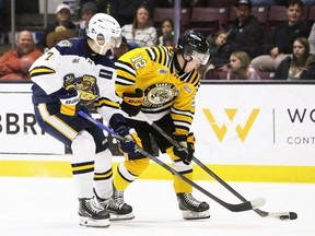 Sarnia Sting's Ben Pickell (12) is pursued by Erie Otters' Michael D'Alessio (7) at Progressive Auto Sales Arena in Sarnia, Ont., on Friday, Jan. 9, 2026. Mark Malone/Chatham Daily News/Postmedia Network