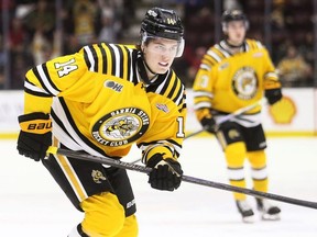 Sarnia Sting's Jack Van Volsen (14) plays against the Erie Otters at Progressive Auto Sales Arena in Sarnia, Ont., on Friday, Jan. 9, 2026. Mark Malone/Chatham Daily News/Postmedia Network
