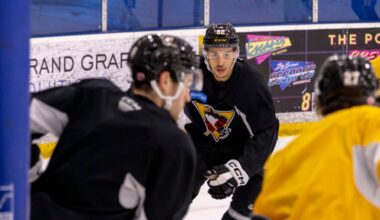 Jones re-establishes himself with Penguins – Wilkes-Barre Citizens' Voice