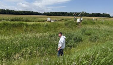 OHFB says conservation efforts helped improve 2025 Lake Erie algal bloom